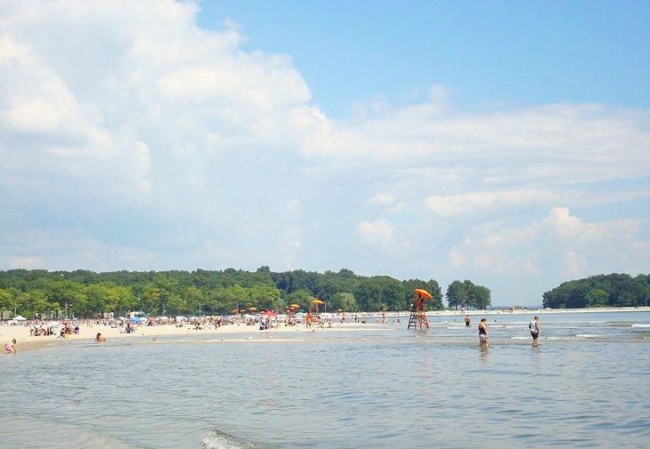 Playa Orchard