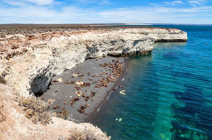 Puerto Madryn y la Península Valdés