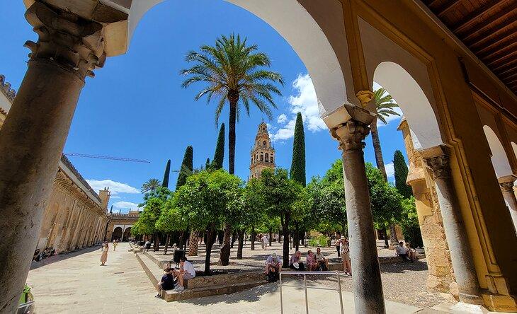 La Mezquita, patio