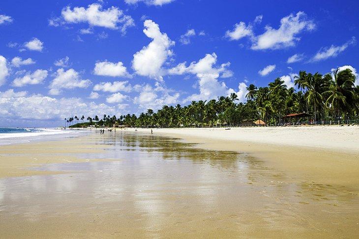 Playas de Pernambuco
