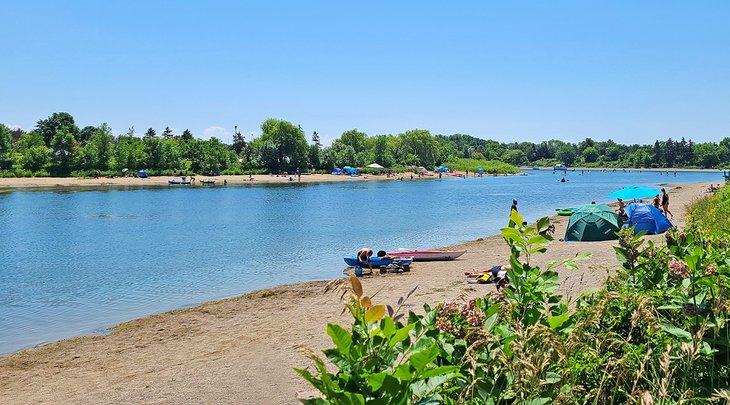 Kayaks en la playa en el Parque Lakefront Promenade