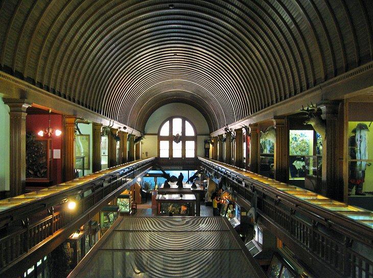 Museo y Planetario Fairbanks