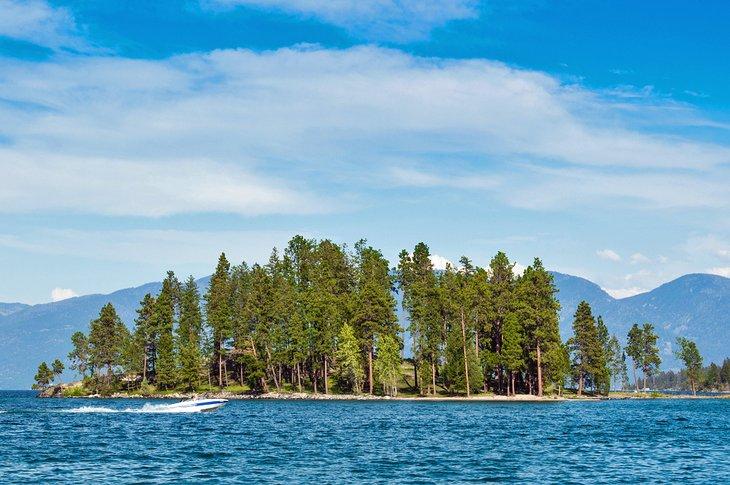 Lago Flathead