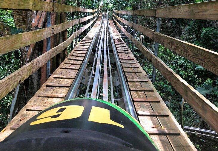 Bobsled Jamaica at Rainforest Adventures Mystic Mountain, Ocho Rios