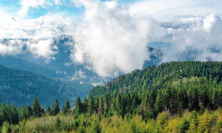 Vista desde la carretera alta de la Selva Negra