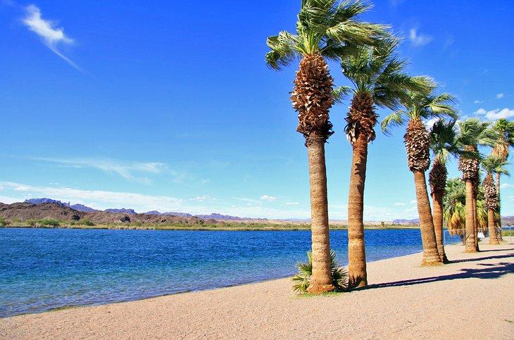 Las costas bordeadas de palmeras del Lake Havasu