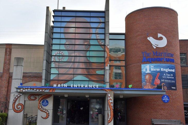 Acuario Marítimo en Norwalk, Connecticut