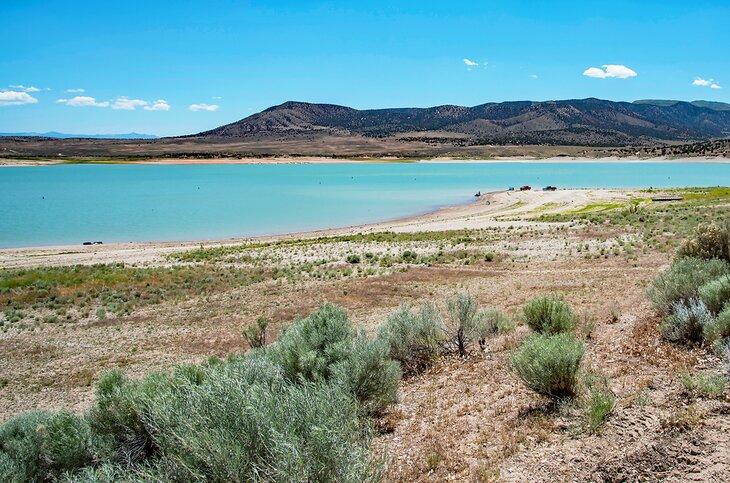 Parque Estatal Yuba Lake