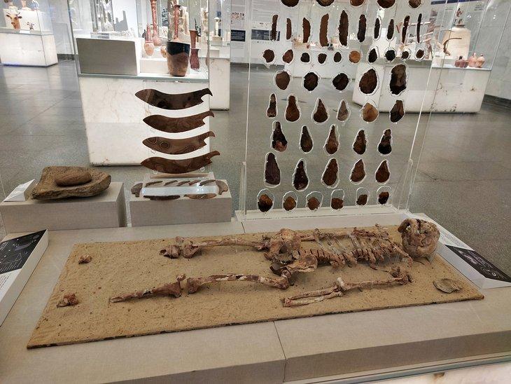 Museo Nacional de las Civilizaciones Egipcias (NMEC)