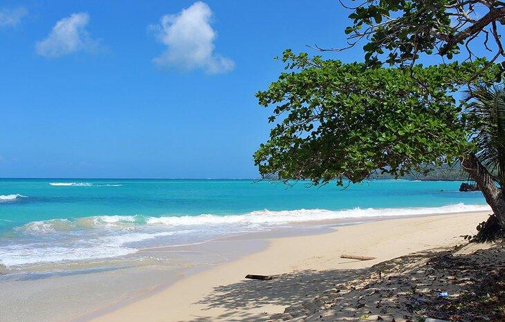Área de Playa Rincón