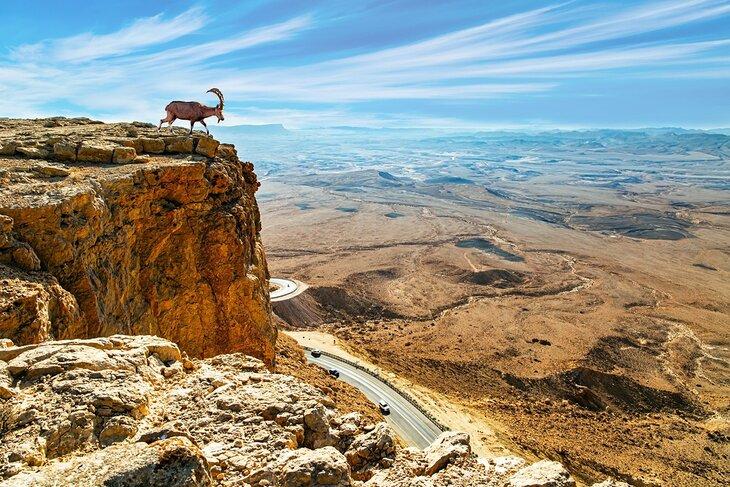 Atracciones Turísticas en Israel y los Territorios Palestinos