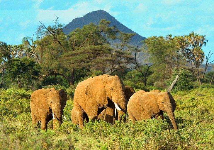 Attractions touristiques au Kenya