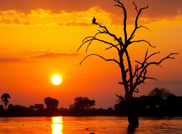 Attractions Touristiques en Tanzanie