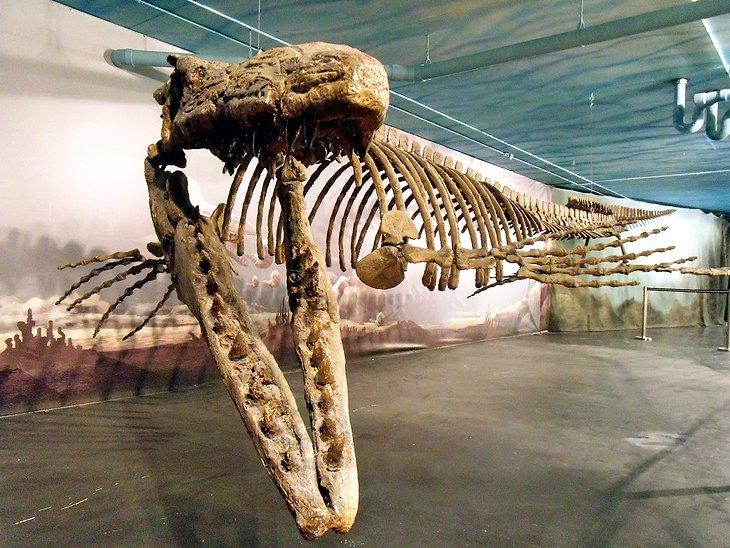 Atracciones y Lugares para Visitar en Manitoba