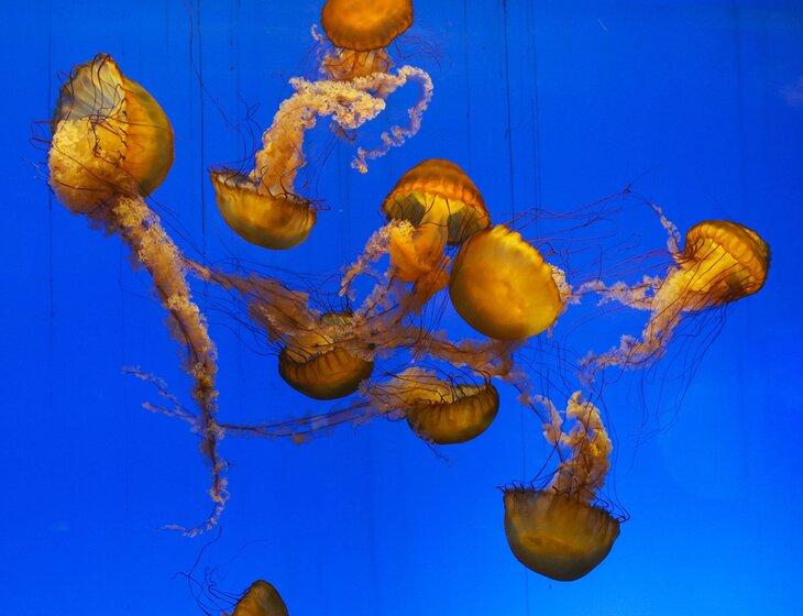 Atracciones Turísticas en Shanghái