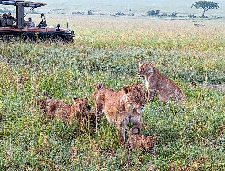 Réserves de Gibier en Afrique