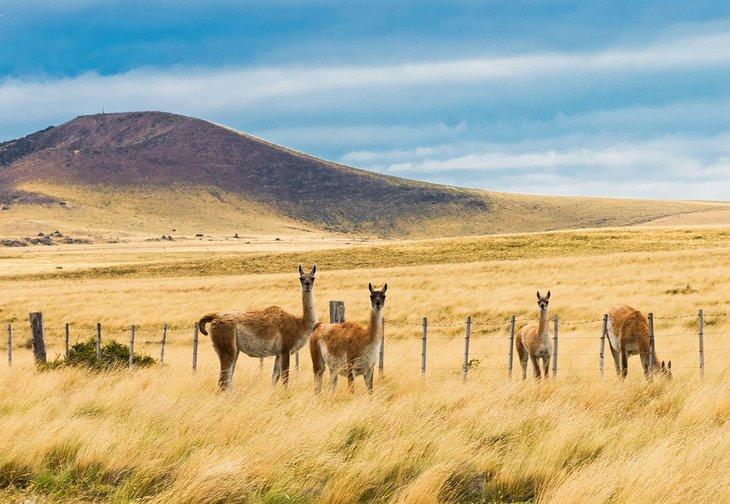 Argentina en Imágenes: Hermosos Lugares para Fotografiar