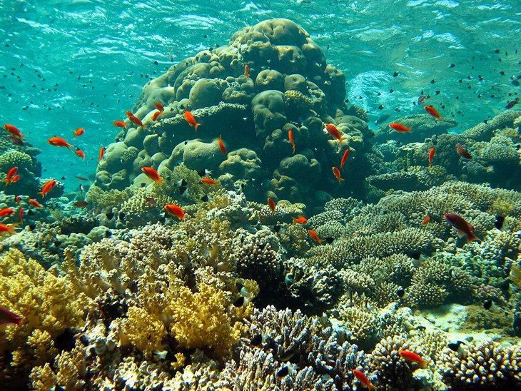 Choses à faire à Sharm el-Sheikh