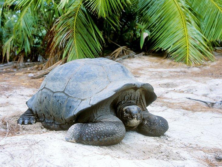 Atracciones Turísticas en las Seychelles