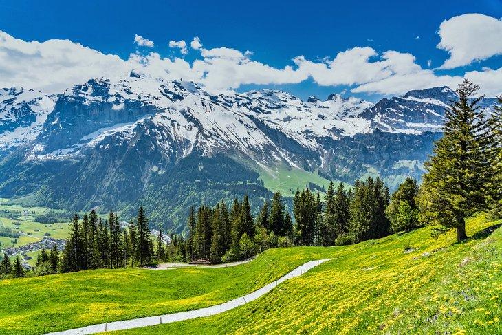 De Zurich au Mont Titlis : Moyens de s'y Rendre