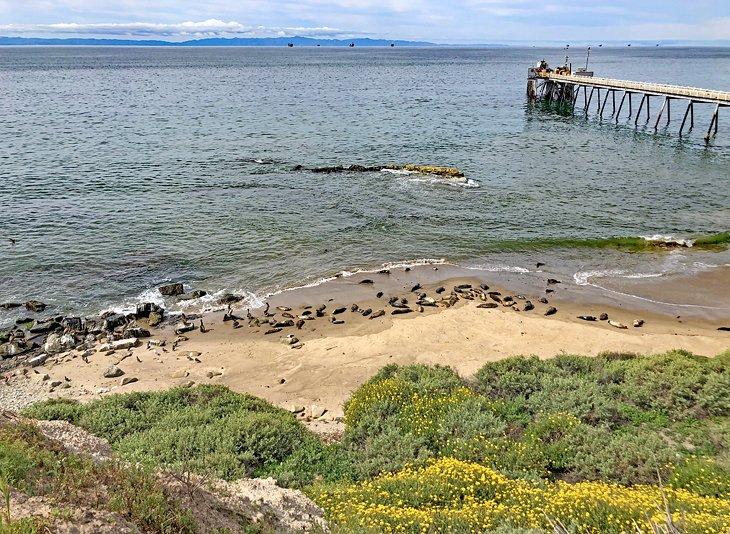Sentiers de randonnée à Santa Barbara, CA