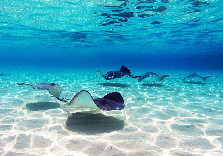 Îles Caïmans en Images : Beaux Endroits à Photographier