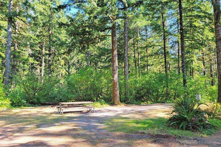 Lugares para acampar cerca del Monte St. Helens, WA
