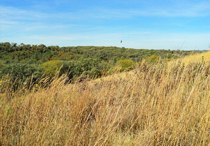 Iowa in Bildern: Schöne Orte zum Fotografieren