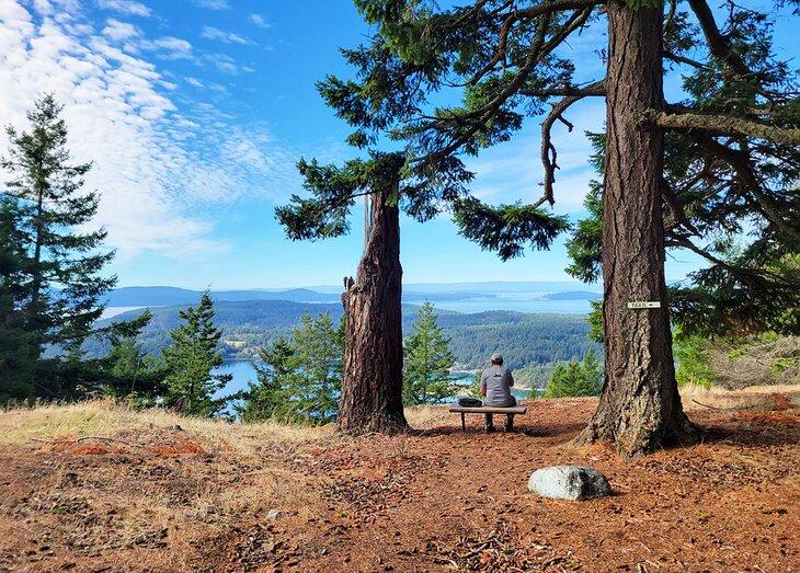 Excursiones de un Día desde Seattle, WA