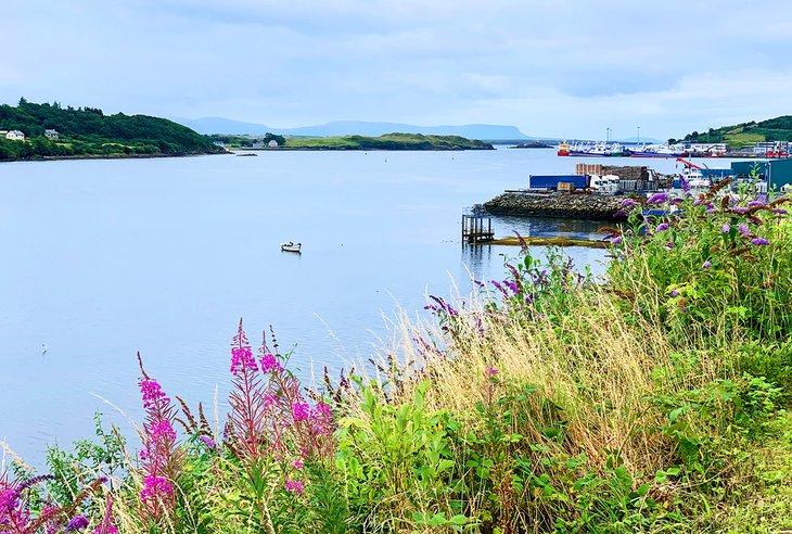Destinos de pesca en Irlanda