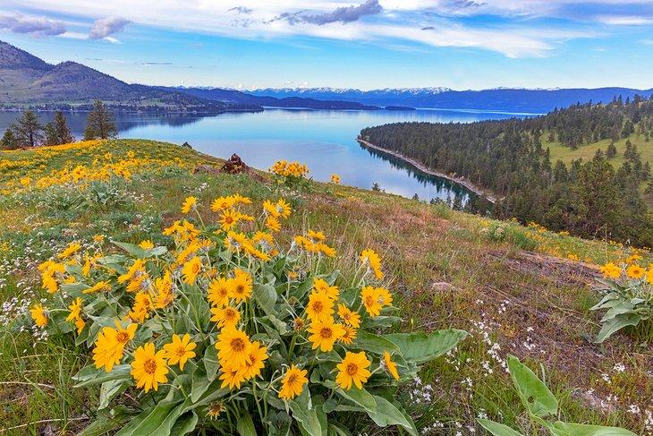 Parcs Nationaux et d'État du Montana