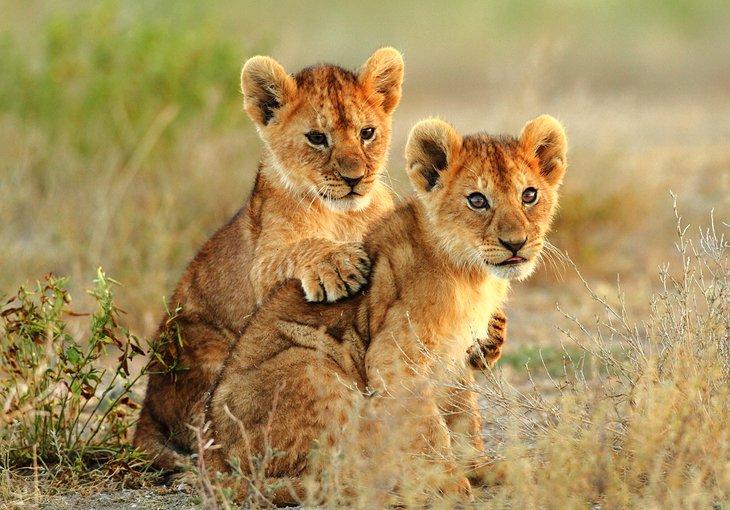 L'Afrique du Sud en Images : Belles Lieux à Photographier