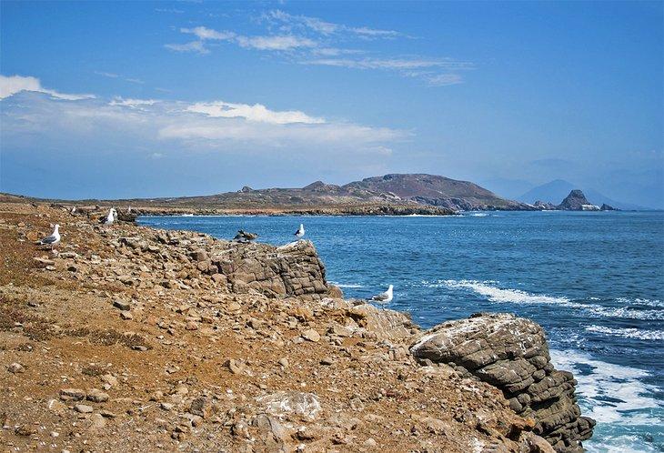 Îles Mexicaines