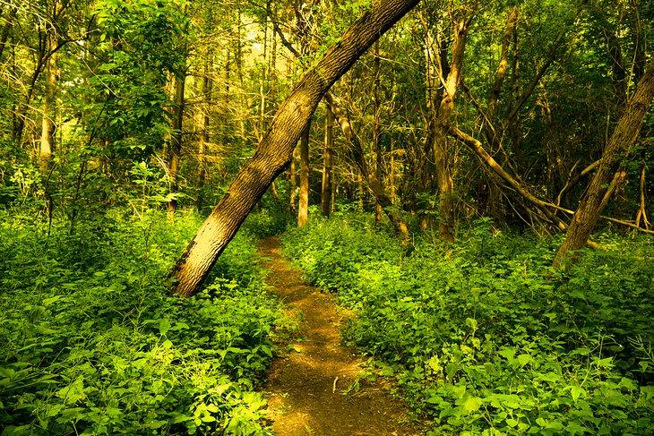Parcs à Mississauga, Ontario