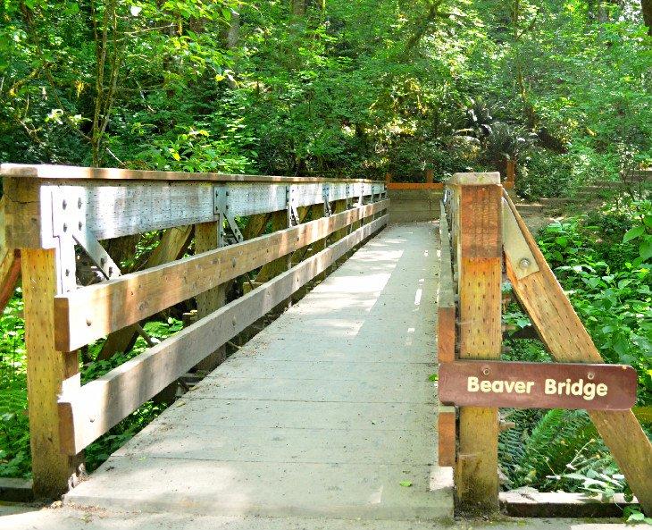 Wanderwege in der Nähe von Portland, Oregon