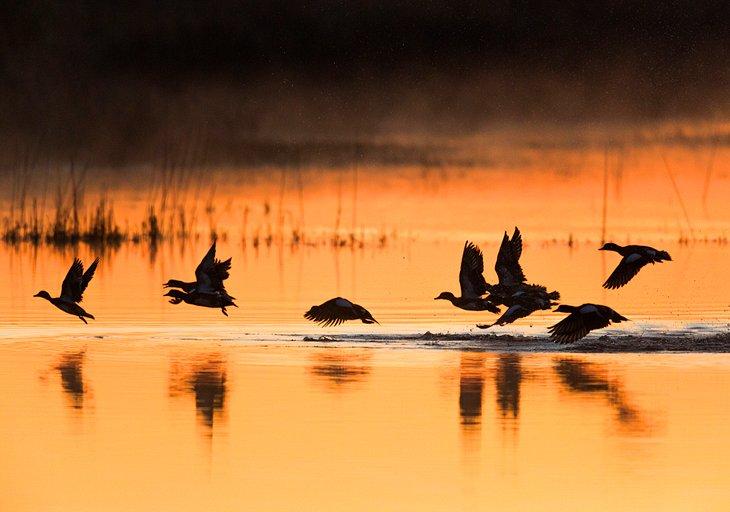 Kansas en images : Jolis endroits à photographier