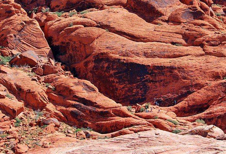 Caminatas en el Área de Conservación Nacional Red Rock Canyon
