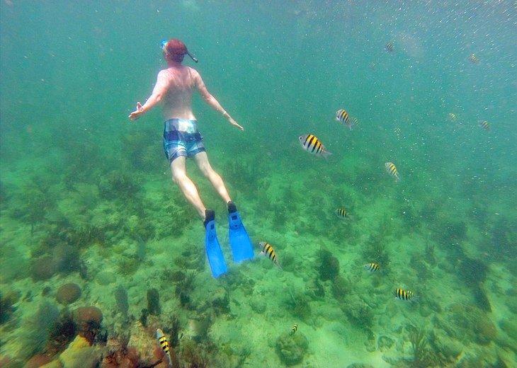 Atracciones Turísticas en Varadero