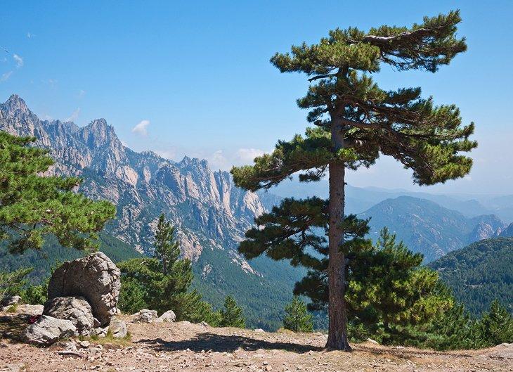 Attractions et lieux à visiter en Corse