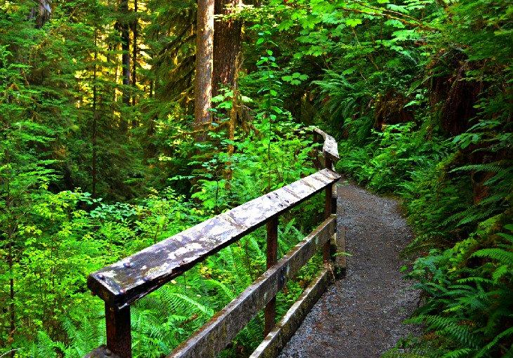Campingplätze in der Nähe von Seattle
