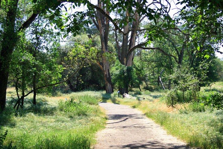 Parks in Sacramento
