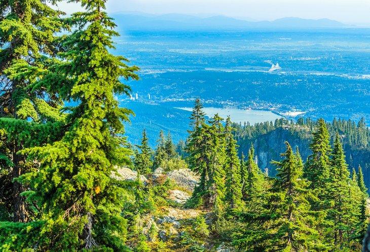 Campings cerca de Vancouver, BC