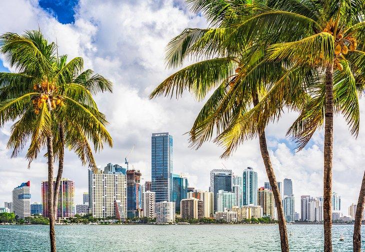 Von Tampa nach Miami: Möglichkeiten, dorthin zu gelangen