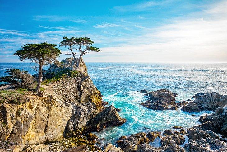 Excursiones de un día desde San Francisco