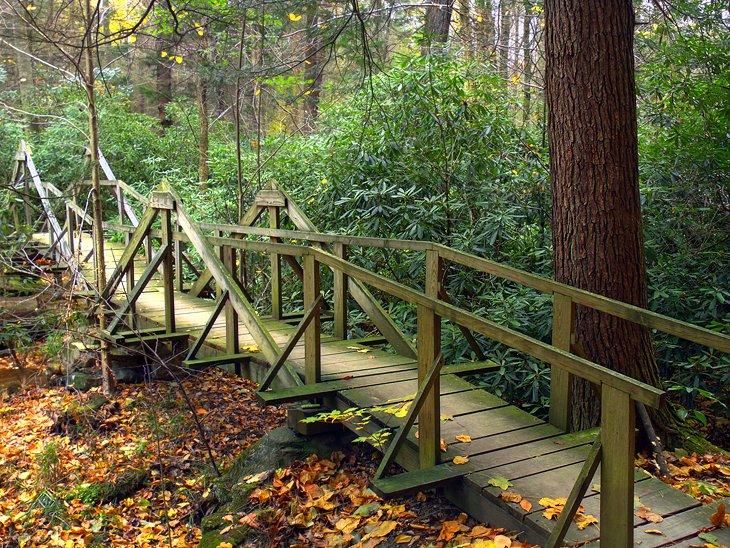 Senderos de Senderismo en Pennsylvania