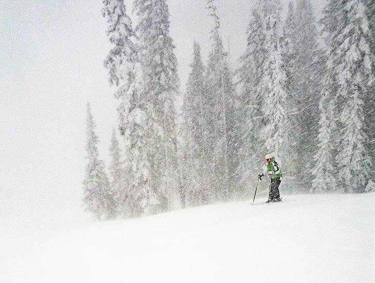 Skigebiete in Arizona, 2024/25