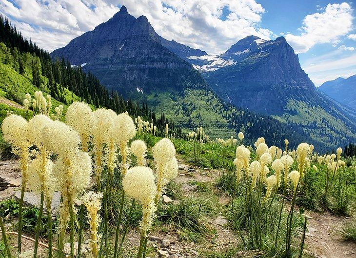 Campings en Montana