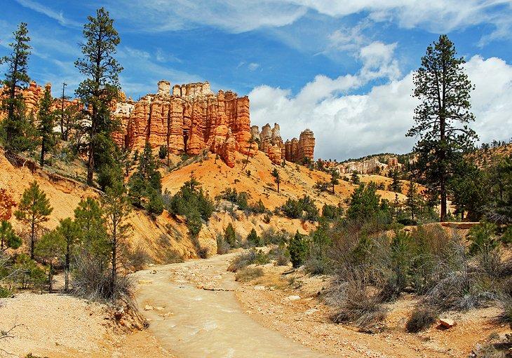 Randonnées dans le parc national de Bryce Canyon