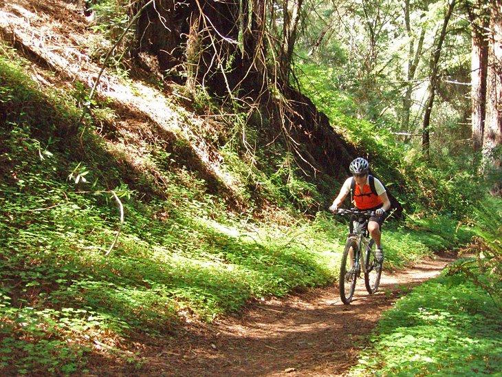 Wanderwege in der Nähe von Santa Cruz, CA