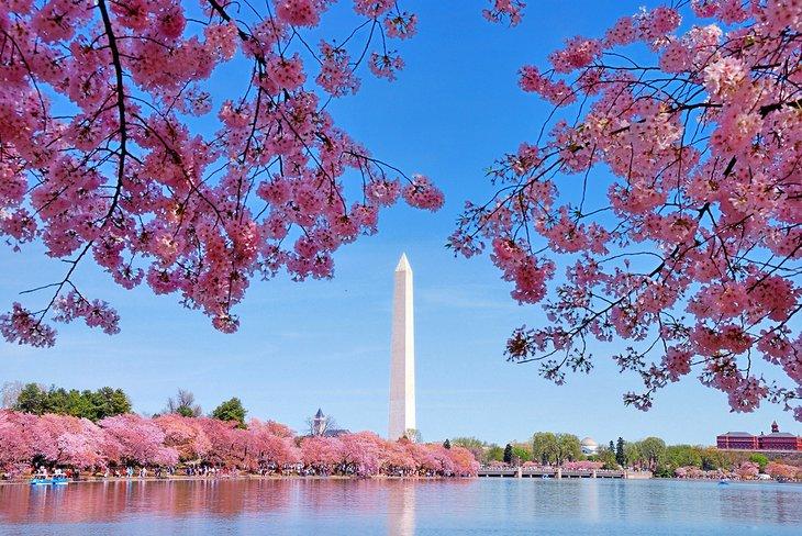Von New York City nach Washington, D.C.: Möglichkeiten dorthin zu gelangen